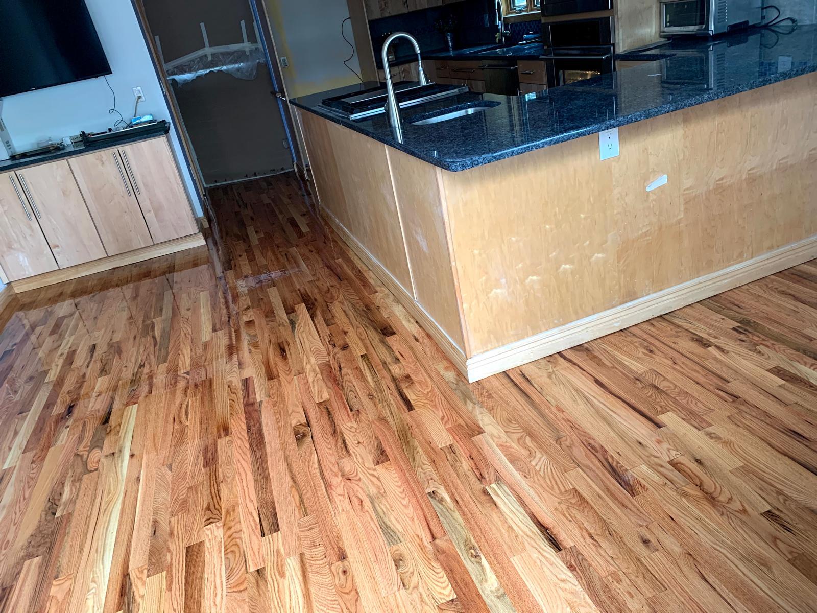 Proyecto de remodelación 62